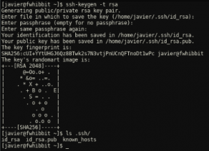 rsa