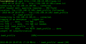 wget http://192.168.10.185/claves.txt [.bash_profile]